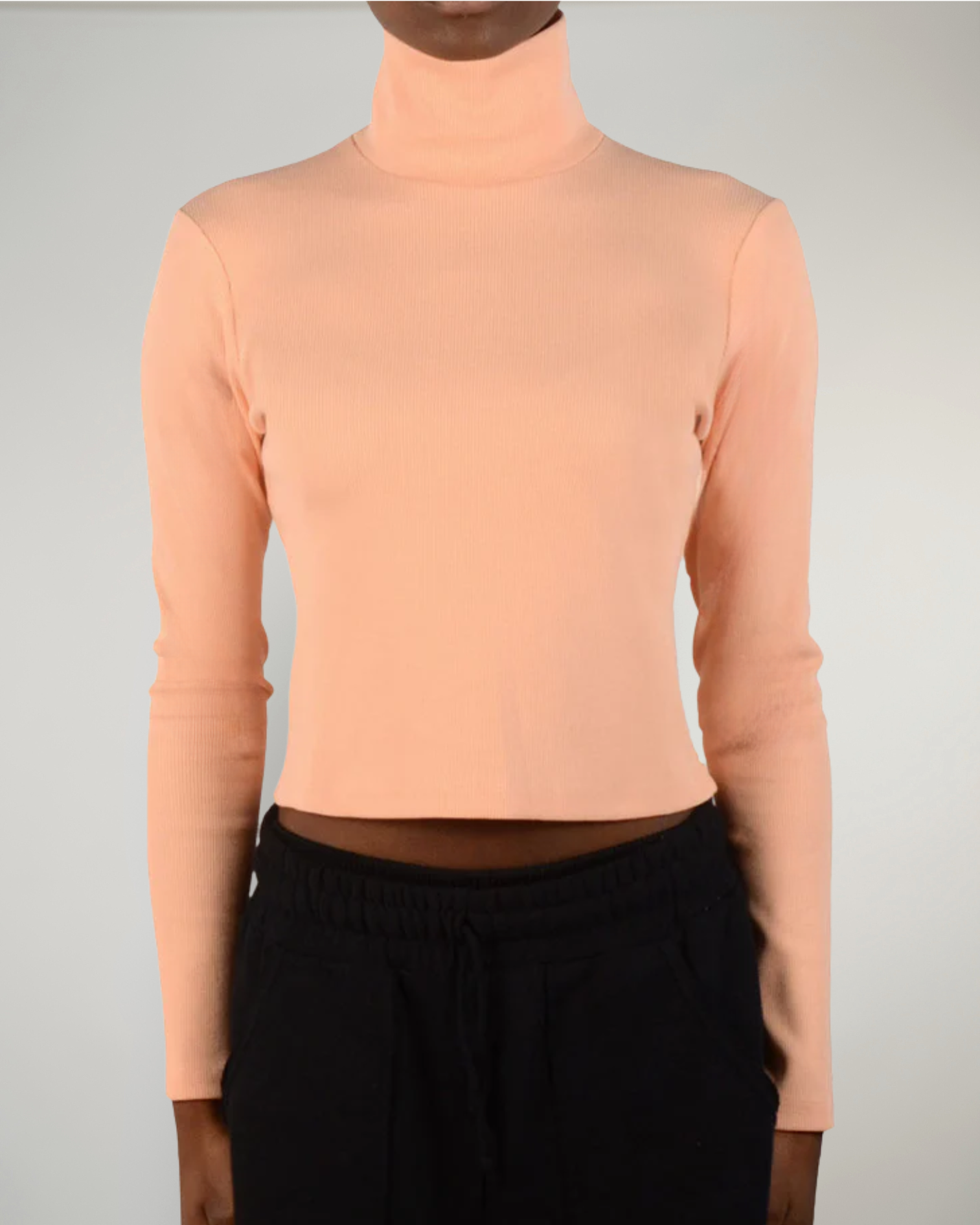 Baltimore Turtleneck Top